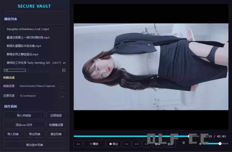 老司机隐私播放器SecureVault Player V0.8.9 老司机隐私播放器SecureVault Player V0.8.9