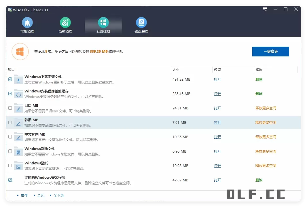 Wise Disk Cleaner v11.3.1.851绿色版