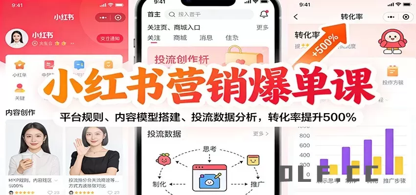 小红书营销爆单课：平台规则、内容模型搭建、投流数据分析，转化率提升500%