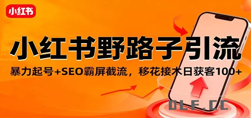 小红书野路子引流，暴力起号+SEO霸屏截流，移花接木日获客100+