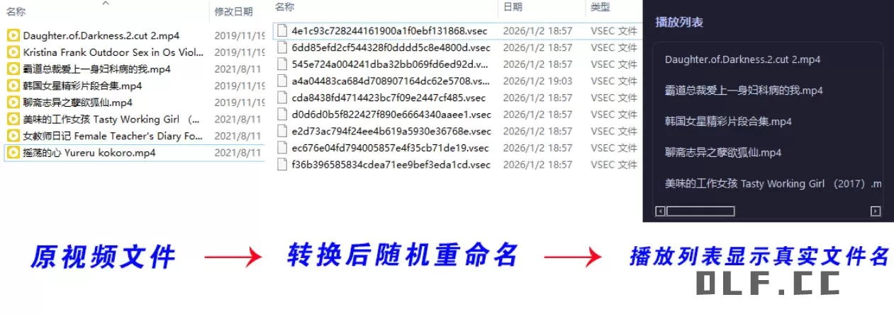 老司机隐私播放器SecureVault Player V0.8.9